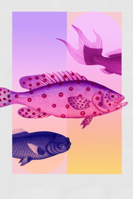 Fish in pastels stylized – motivvy. Stiliserade rosa, lila och blå fiskar ligger över raka pastellfält i gult, rosa och violett.
