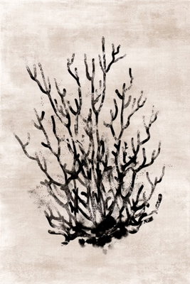 Water bush vertical – motivvy. En mörk, koralliknande buskform breder ut sina tunna grenar över en beige pappersliknande botten.