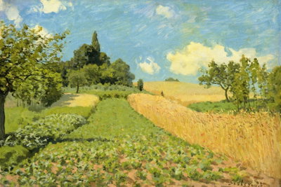 Alfred sisley grain fields – motivvy. Ett solgult fält möter en grön gång, lummiga träd och små vita moln på en klarblå himmel.