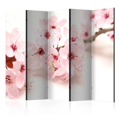5-delad ljuddämpande rumsavdelare – Cherry blossom – produktbild