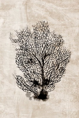 Sea fan vertical – motivvy. En finförgrenad, mörk koralliknande form tecknar sig mot en beige bakgrund med tryckt struktur.