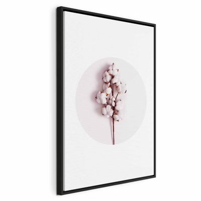 Soft cotton vertical – svart ram. En kvist med mjuka vita bomullsbollar ligger inom en blekt rosa cirkel mot vitt.