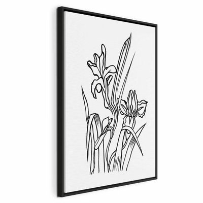 Love irises vertical – svart ram. Irisblommor med smala blad återges med tunna svarta konturer mot en vit botten.