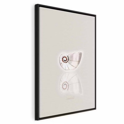 Ceramic shell vertical – svart ram. En ljus spiralformad snäcka speglas nedåt på en varmgrå botten med gott om tom bildyta.