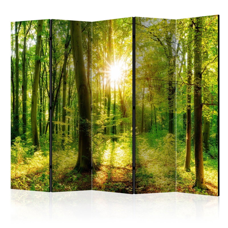 5-delad ljuddämpande rumsavdelare – Forest rays – produktbild