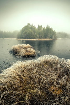 Autumn in the wetlands – motivvy. Små bruna gräsöar ligger i stilla vatten framför en mörk trädridå under en ljust grönaktig dimhimmel.