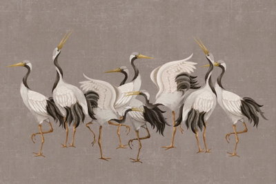 Crane dance bright – motivvy. Flera långbenta fåglar med vita och grå fjädrar och gula näbbar står tillsammans mot gråbrun botten.