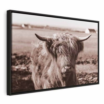A scottish cow in sepia – svart ram. Ett långhårigt nötkreatur med breda horn står i ett öppet fält i ett varmt, bruntonat fotografi.