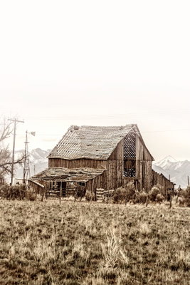 Abandoned ranch vertical – motivvy. En väderbiten träbyggnad står i ett torrt, blekbrunt fält under en nästan vit himmel.