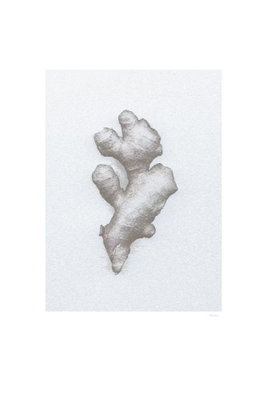 Ginger vertical – motivvy. En liten grå ingefärsrot är tecknad på ett blekt grått mittfält med bred vit marginal.