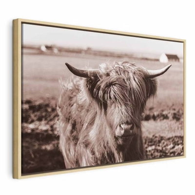 A scottish cow in sepia – naturfärgad ram. Ett långhårigt nötkreatur med breda horn står i ett öppet fält i ett varmt, bruntonat fotografi.