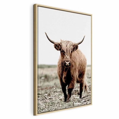 Young stag vertical – naturfärgad ram. Ett brunt, långhårigt nötkreatur med långa horn står i ett fält under en ljus himmel.
