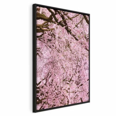 Cherry tree vertical – svart ram. Täta rosa blommor fyller grenarna i ett träd som sträcker sig över den stående bildytan.