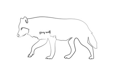 Wolf wide – motivvy. En varg antyds av svarta konturer mot vitt i ett långsträckt motiv med stora ljusa ytor.