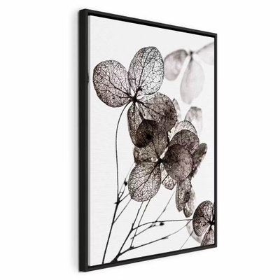 Transparent clover vertical – svart ram. Mörka, genomlysta blad och smala stjälkar tecknar sig mot en vit bakgrund.