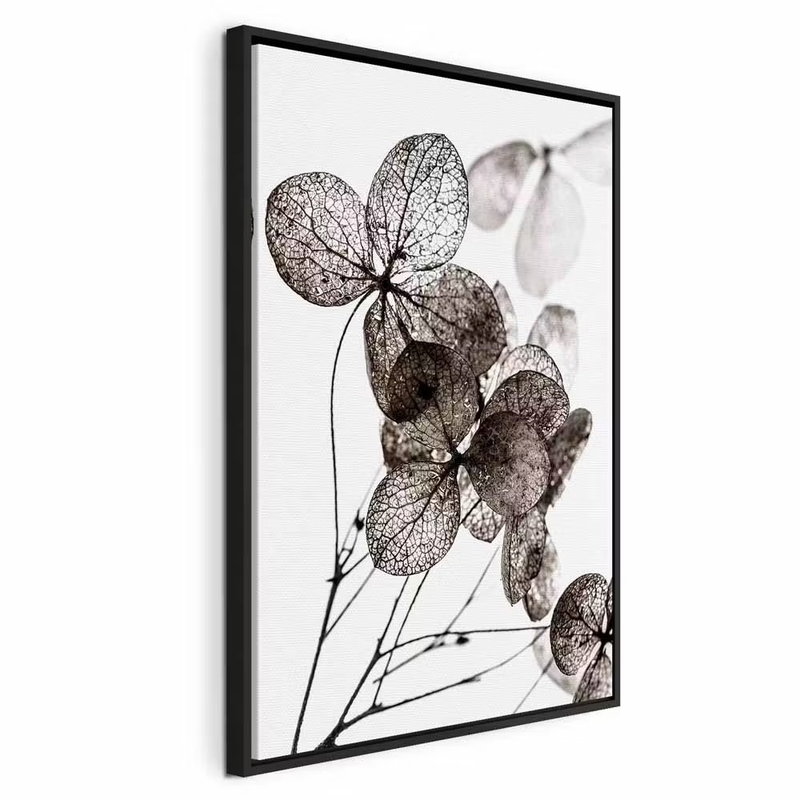 Transparent clover vertical – svart ram. Mörka, genomlysta blad och smala stjälkar tecknar sig mot en vit bakgrund.