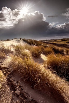 Shivering whispers vertical – motivvy. Gyllene strandgräs växer i sanddyner under mörka moln med solen som lyser fram ovanför.