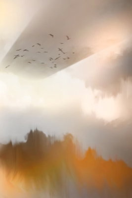 Nostalgia vertical – motivvy. En flock små fåglar flyger över dimmiga träd med varmt ljus i en stor grå himmel.