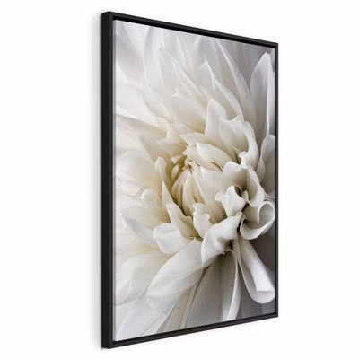 White dahlia – svart ram. Vita kronblad ligger tätt kring dahlians ljusa mitt. De mjuka skuggorna mellan bladen ger blomman djup mot en återhållen bakgrund i grått och crème.
