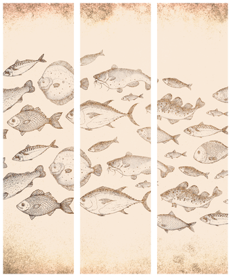 3-delad ljuddämpande rumsavdelare – Sketch Fish – produktbild från leverantören