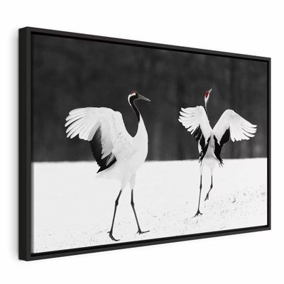Dancing cranes wide – svart ram. Två långbenta fåglar med utbredda vita vingar och små röda huvuddetaljer står på ljus mark framför mörk skog.
