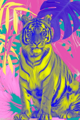 Colorful tiger intense – motivvy. En gul och blå tiger med tydliga ränder sitter bland starkt rosa, gröna och lila tropiska blad.