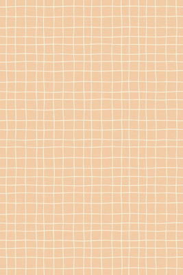 Waving lines creamy grid on – motivvy. Tunna crèmefärgade linjer bildar ett mjukt böjt rutnät på en varm botten i ockra och persika.