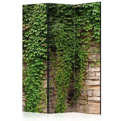 3-delad ljuddämpande rumsavdelare – Ivy Wall – produktbild