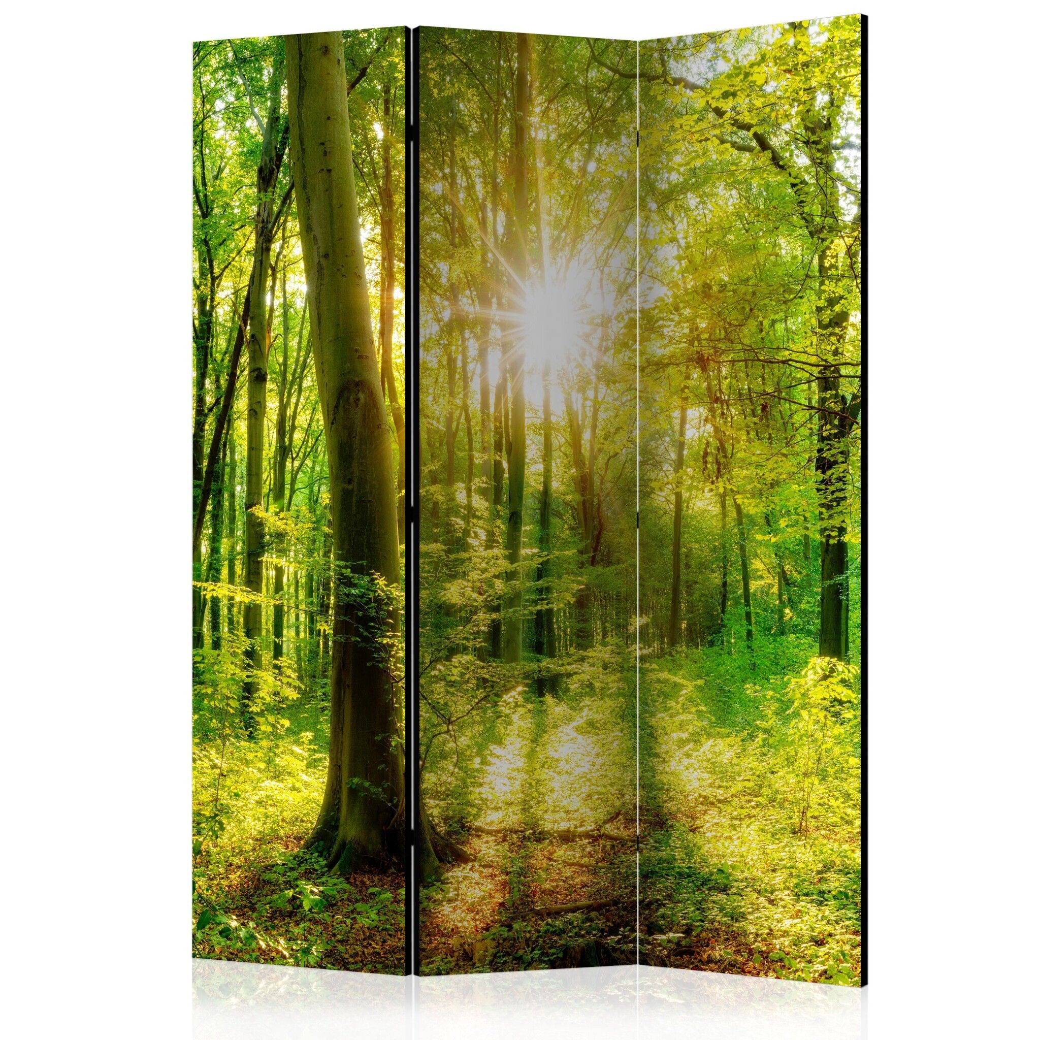 3-delad ljuddämpande rumsavdelare – Forest Rays (135x172cm)