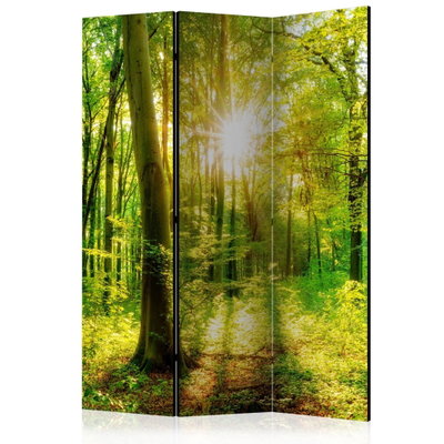 3-delad ljuddämpande rumsavdelare – Forest Rays – produktbild