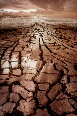 Drought vertical – motivvy. Torr, uppsprucken mark sträcker sig mot en ljus horisont under en bruntonad himmel.