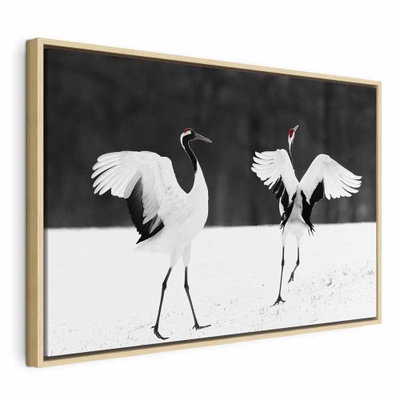 Dancing cranes wide – naturfärgad ram. Två långbenta fåglar med utbredda vita vingar och små röda huvuddetaljer står på ljus mark framför mörk skog.