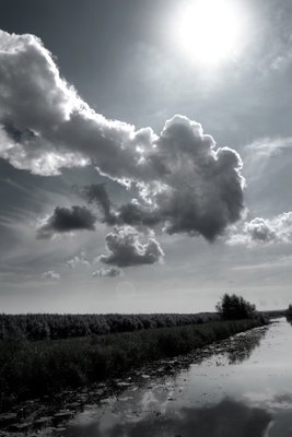 Sun over clouds sky – motivvy. En stor sol och kraftiga moln ligger över en låg landskapshorisont i en kontrastrik svartvit bild.