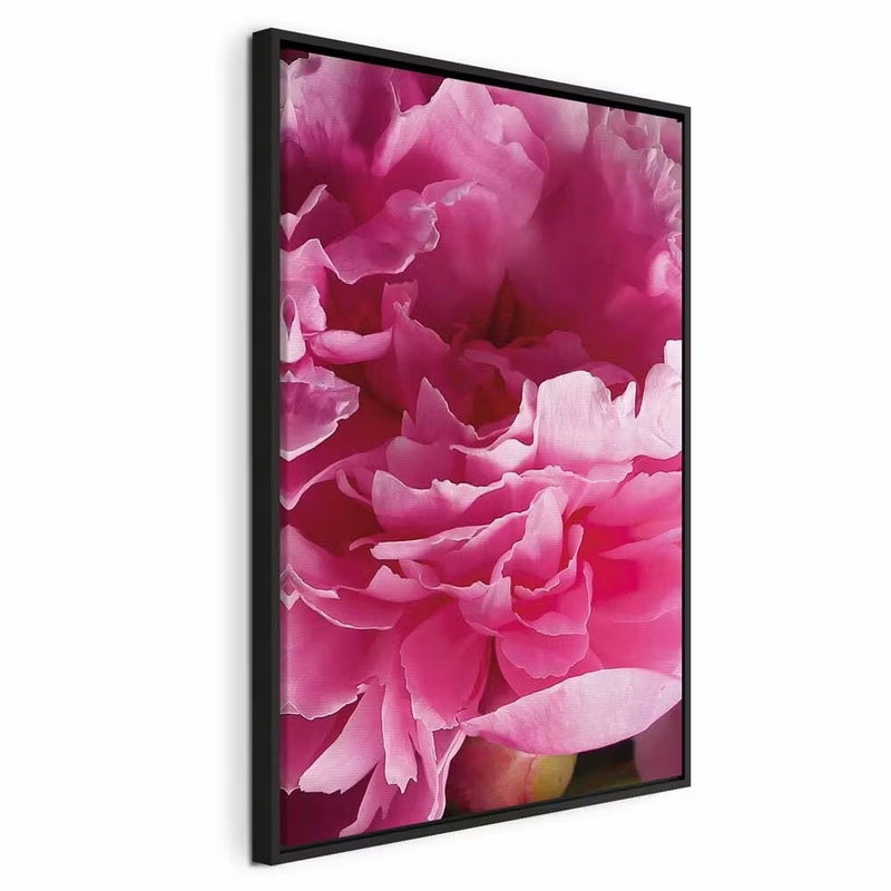 Blossom of beauty pink peony – svart ram. Lager av starkt rosa, veckade kronblad fyller den stående bildytan i en tät blomsterbild.