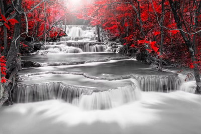 Cascade of thoughts wide red – motivvy. Vitt vatten faller över flera mörka avsatser i en skog där starkt röda blad bryter av mot gråskalan.