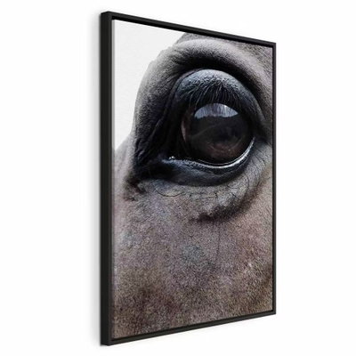 Honest eyes vertical – svart ram. Ett stort, mörkt hästöga och den grå pälsen runtom fyller bildytan i en tät fotografisk närbild.