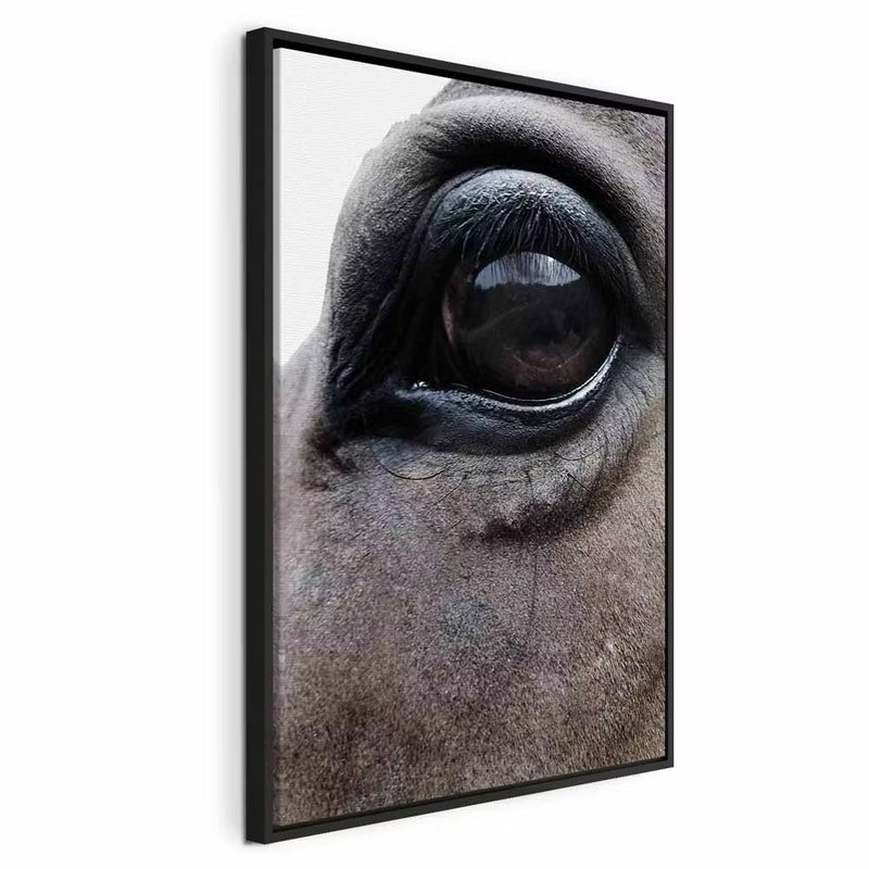 Honest eyes vertical – svart ram. Ett stort, mörkt hästöga och den grå pälsen runtom fyller bildytan i en tät fotografisk närbild.