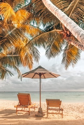 Palm umbrella vertical – motivvy. Två trästolar och ett parasoll står på en sandstrand under höga palmer vid ett ljust hav.