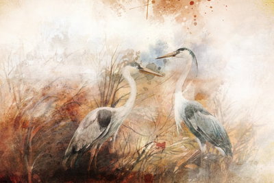 Herons on the hunt wide – motivvy. Två gråvita hägrar står i högt gräs återgivet med lösa penseldrag i brunt, orange och crème.