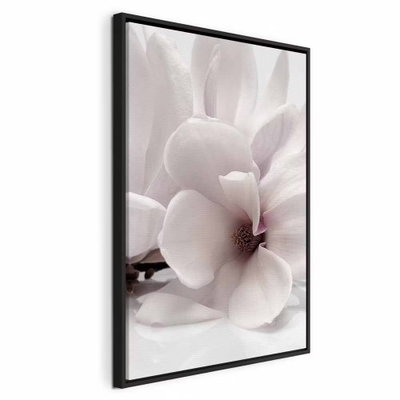 Blooming light vertical – svart ram. Stora vita och blekrosa blommor med mjuka kronblad fyller bildytan mot en dämpat grårosa bakgrund.
