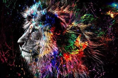 Crazy lion wide – motivvy. Ett lejonansikte i profil bryter fram ur starka blå, gröna, gula och röda färgstänk på svart.