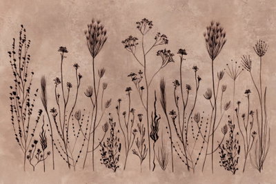 Wildflowers black plants on – motivvy. Tunna mörka stjälkar, blad och blomhuvuden tecknar sig mot en dämpat rosa och beige botten.