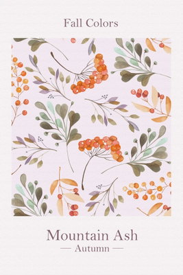 Fall colors vertical – motivvy. Små blad, kvistar och orange rönnbär ramas in av engelsk typografi på en ljust rosa bildyta.