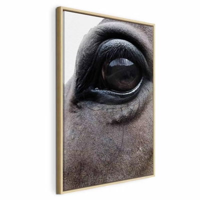 Honest eyes vertical – naturfärgad ram. Ett stort, mörkt hästöga och den grå pälsen runtom fyller bildytan i en tät fotografisk närbild.