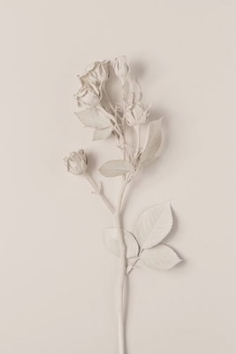 Harmonious rose vertical – motivvy. En ljus ros med tunna blad och stjälk framträder mot en beige botten. Reliefkänslan återges i själva trycket.