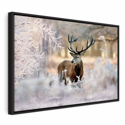 Deer in the cold – svart ram. En brun hjort med stor hornkrona står bland vita, frosttäckta grenar i ett ljust vinterlandskap.