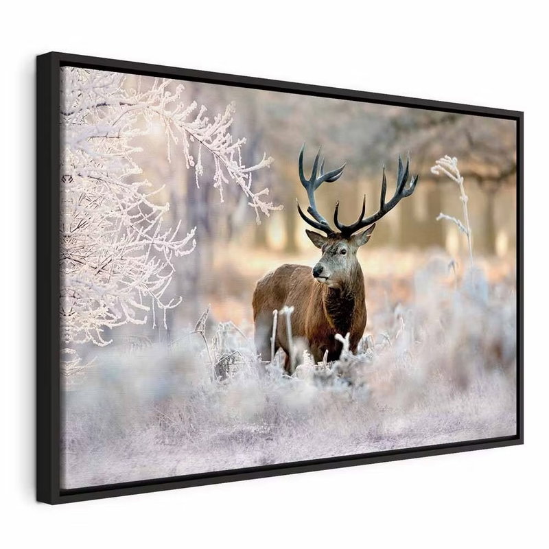 Deer in the cold – svart ram. En brun hjort med stor hornkrona står bland vita, frosttäckta grenar i ett ljust vinterlandskap.