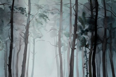 Hazy forest wide – motivvy. Höga, smala trädstammar med glesa grenar bildar flera lager i blågrön och grå dimma.