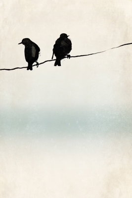 Frozen sparrows vertical – motivvy. Två mörka fågelsilhuetter sitter på en smal tråd framför en ljus bakgrund med ett mjukt turkost fält.