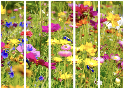 5-delad ljuddämpande rumsavdelare – Summer flowers – produktbild från leverantören